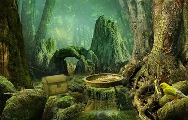 Play Escape Game Studio - Mysterious Forest