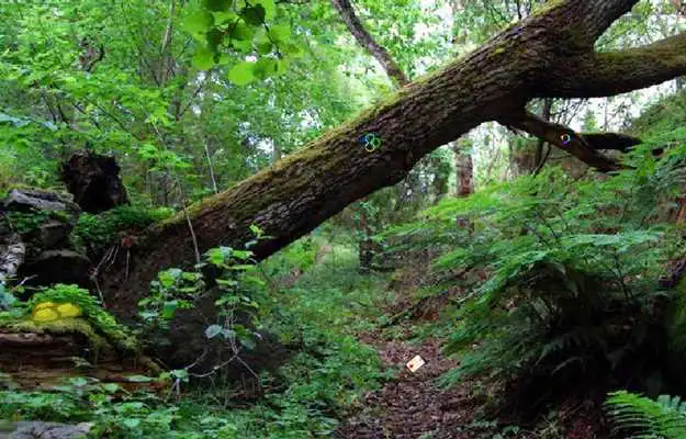 Play Escape Games Zone-163