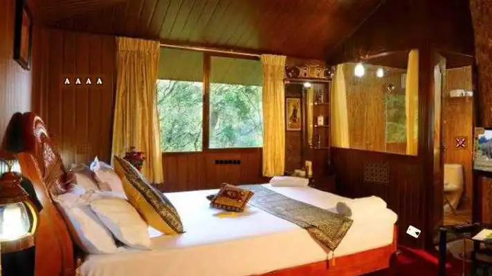 Play Escape Games Zone-163