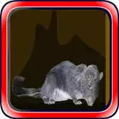 Free play online Escape games zone 85 APK