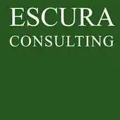 Free play online Escura Consulting APK