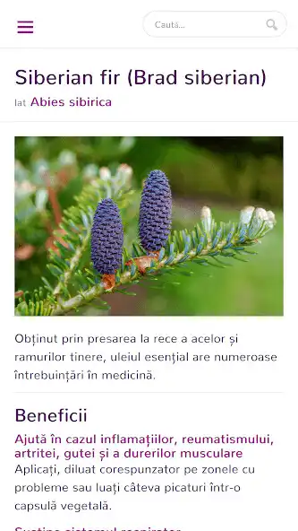 Play Esentiale - uleiuri esentiale terapeutice as an online game Esentiale - uleiuri esentiale terapeutice with UptoPlay
