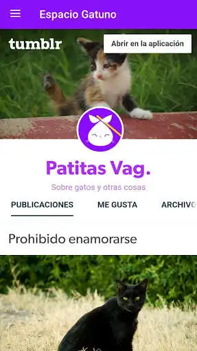 Play Espacio Gatuno  and enjoy Espacio Gatuno with UptoPlay