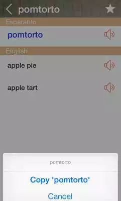 Play Esperanto English Dictionary  Translator Free