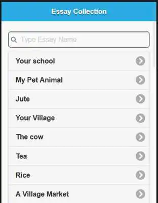 Play Essay Collection