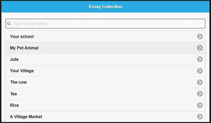 Play Essay Collection
