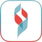 Free play online Essendon Accounts  Tax APK