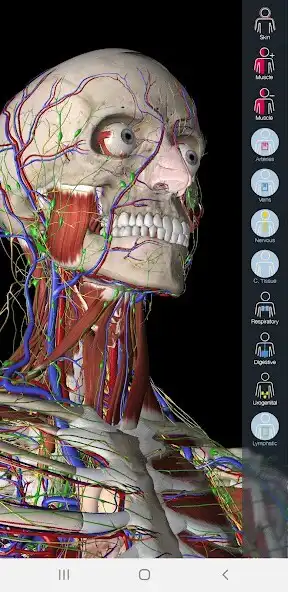 Play Essential Anatomy 5  and enjoy Essential Anatomy 5 with UptoPlay