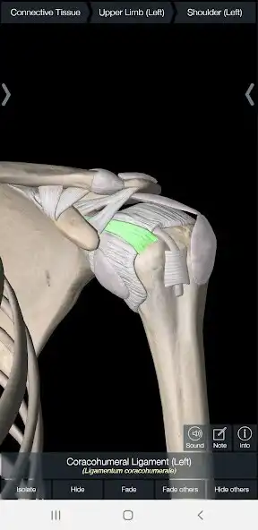 Play Essential Anatomy 5 as an online game Essential Anatomy 5 with UptoPlay