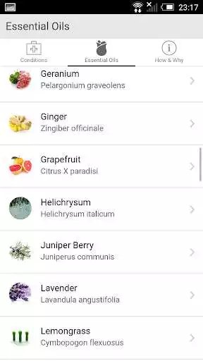 Play Essential Oils  More  and enjoy Essential Oils  More with UptoPlay