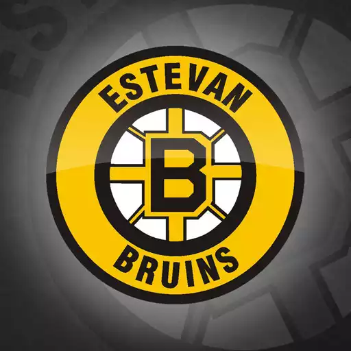 Run free android online Estevan Bruins Official App APK Run free android online Estevan Bruins Official App APK