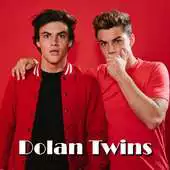 Free play online Ethan and Grayson Dolan Twins Videos APK