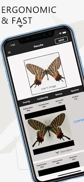 Play ETH BioDex  and enjoy ETH BioDex with UptoPlay
