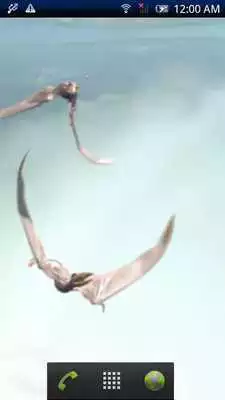 Play Eudimorphodon Trial