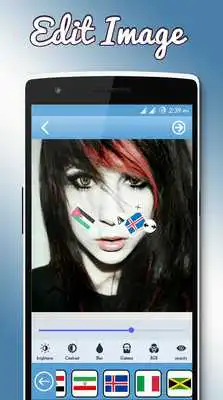 Play Euro Flags Photo Editor