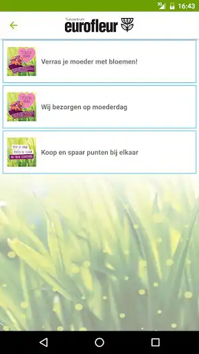 Play Eurofleur Leusden as an online game Eurofleur Leusden with UptoPlay
