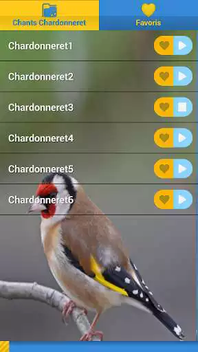 Play European goldfinch song