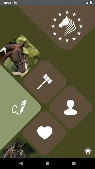 Play European Sport Horse Auction  and enjoy European Sport Horse Auction with UptoPlay