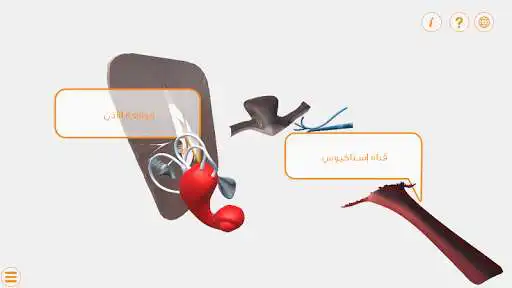 Play Eustachian tube as an online game Eustachian tube with UptoPlay