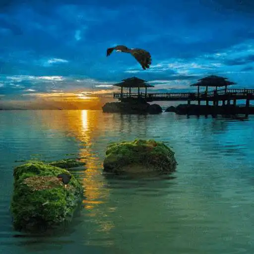 Play Evening Beach View LWP APK Play Evening Beach View LWP APK