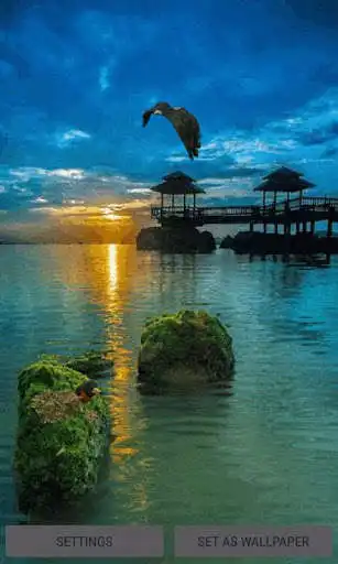 Play Evening Beach View LWP  and enjoy Evening Beach View LWP with UptoPlay