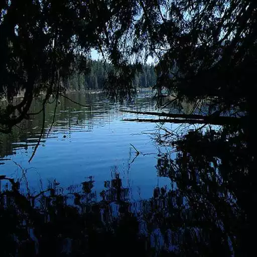 Play Evening Lake Live Wallpaper APK
