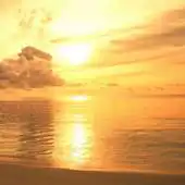 Free play online Evening surf live wallpaper APK Free play online Evening surf live wallpaper APK