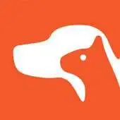 Free play online ever4pets APK Free play online ever4pets APK