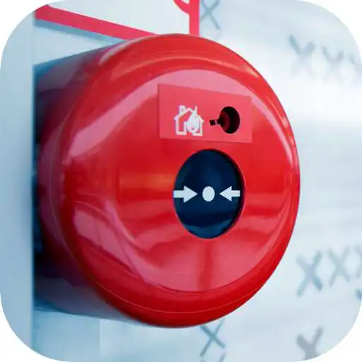 Play EverdayDetector APK