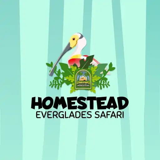 Play Everglades Safari AR APK
