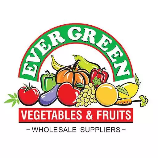 Play Evergreen APK