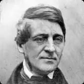 Free play online Evergreen Quotes APK