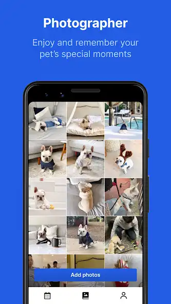 Play Everpet - pets diary as an online game Everpet - pets diary with UptoPlay