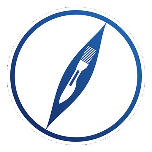 Play Everyday Anatomy APK