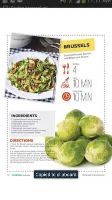 Play Everyday Home Magazine