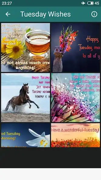 Play Everyday Morning Wishes as an online game online Everyday Morning Wishes with UptoPlay Play Everyday Morning Wishes as an online game Everyday Morning Wishes with UptoPlay