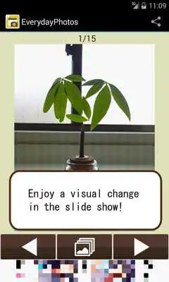 Play Everyday Photos Play Everyday Photos