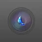 Free play online Evidentia 2.0 for android APK