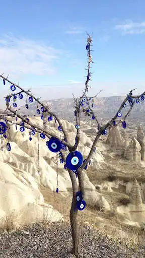 Play Evil Eye Wallpapers as an online game Evil Eye Wallpapers with UptoPlay