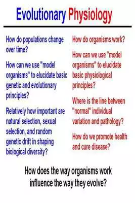 Play Evolutionary Physiology Play Evolutionary Physiology