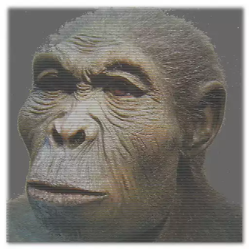 Play Evolution APK Play Evolution APK