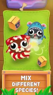 Play Evolution of Dogs