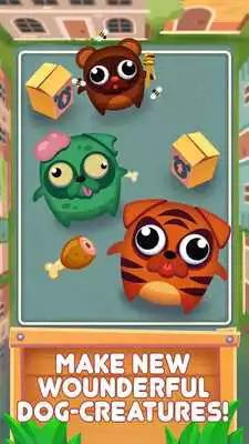 Play Evolution of Dogs