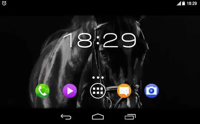 Play Excellent Black Horses Live WP