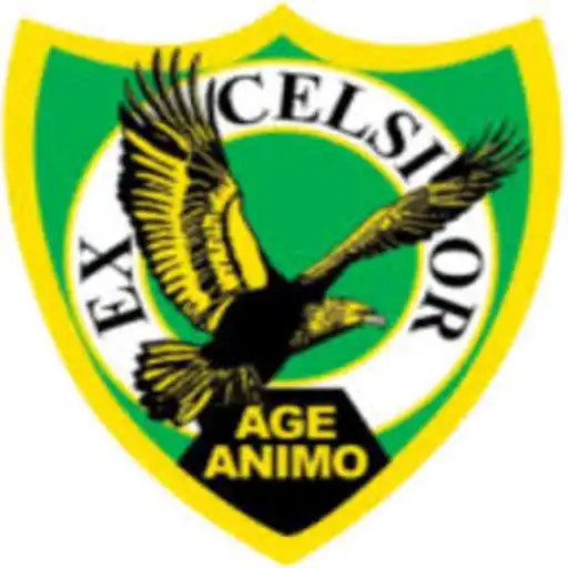 Play Excelsior High School APK