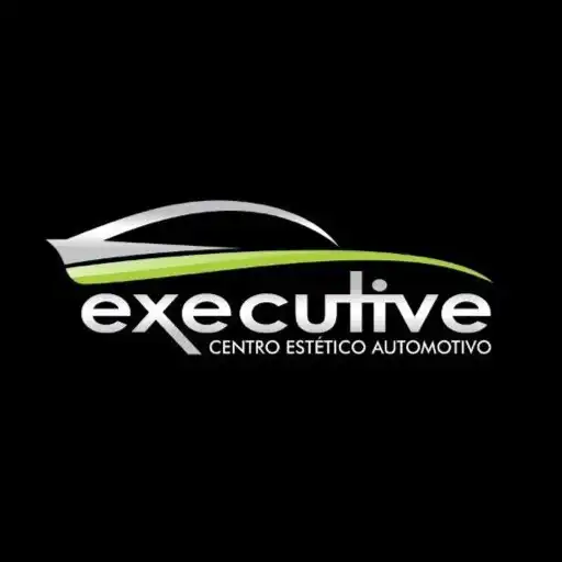 Play Executive Centro Estético Auto APK