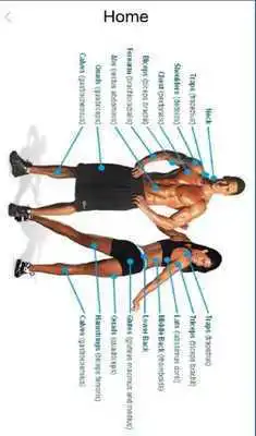 Play Exercise Helper