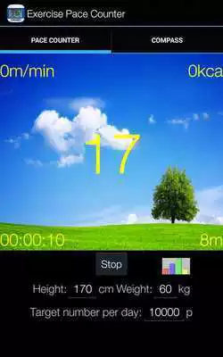 Play Exercise Pace Counter