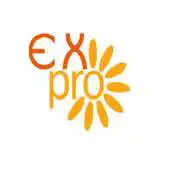 Free play online Exhibition Pro APK