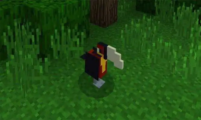 Play Exotic Birds for PE